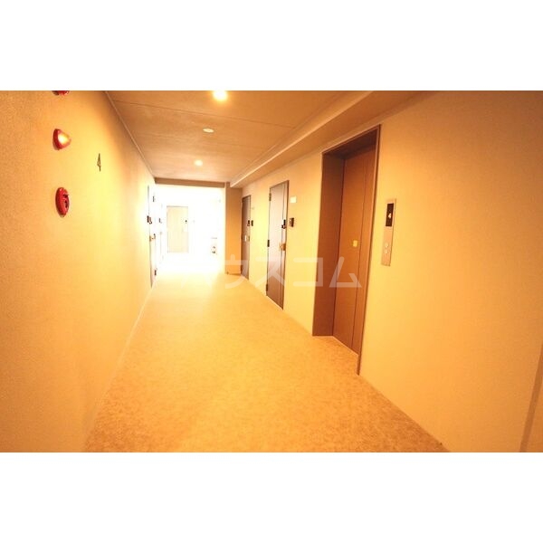 15/19 その他画像