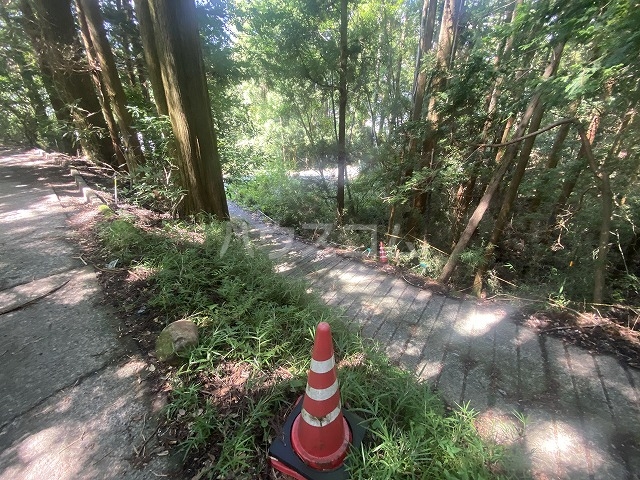 28/30 その他画像