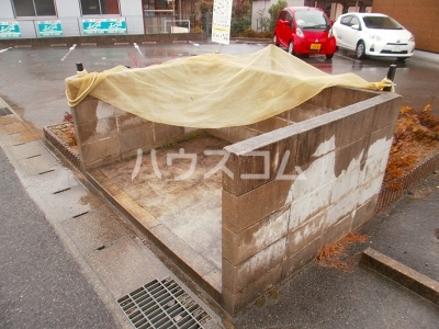 20/30 その他画像