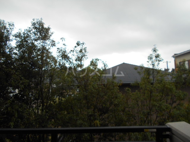 15/21 その他画像