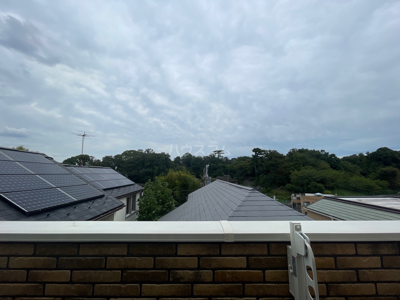 15/21 その他画像