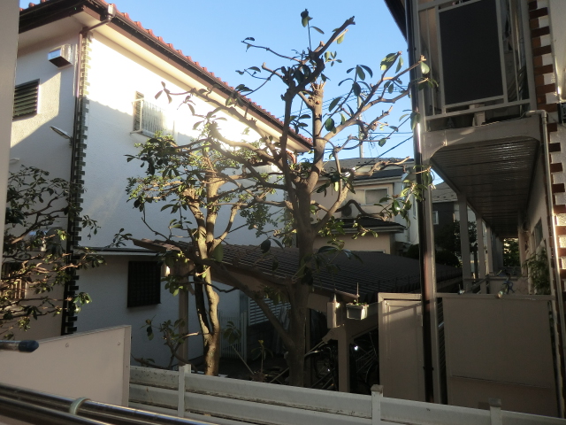 14/21 その他画像