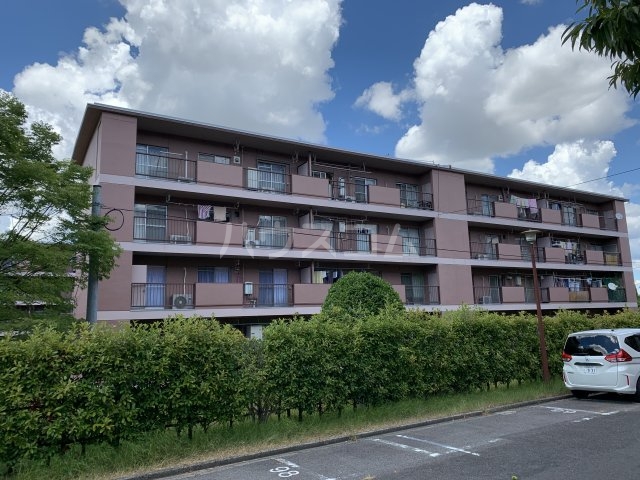 11/19 その他画像