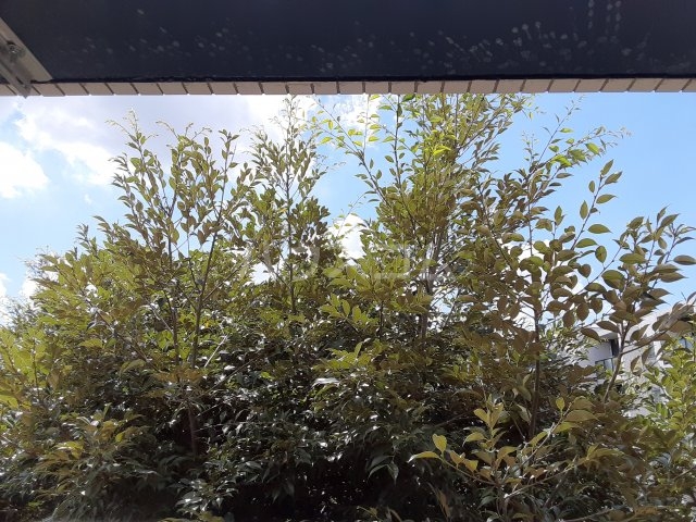 16/29 その他画像