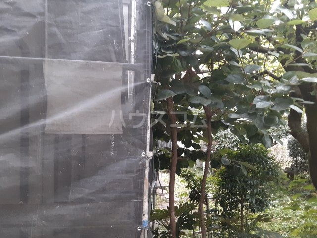 15/30 その他画像