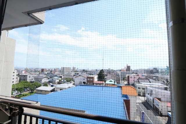 17/29 その他画像