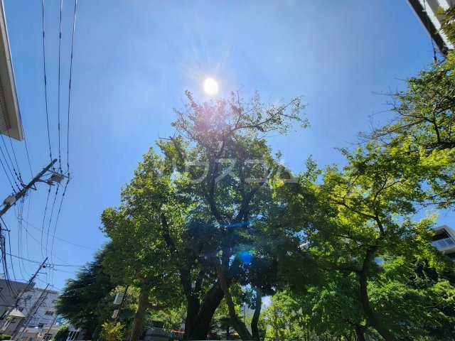 24/30 その他画像