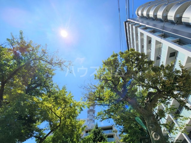 25/30 その他画像