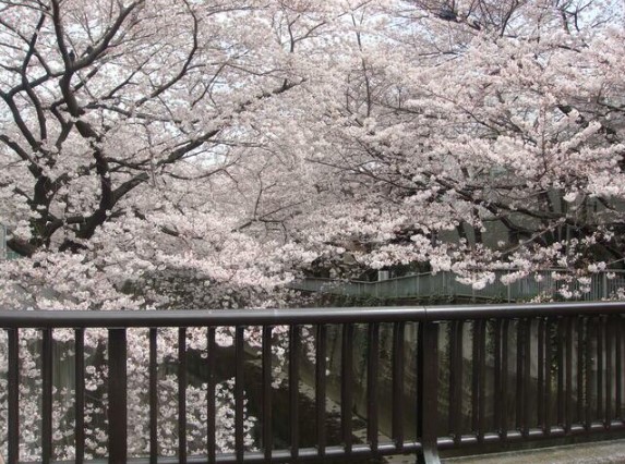 12/25 その他画像