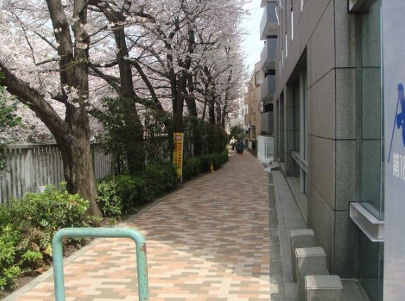 18/25 その他画像