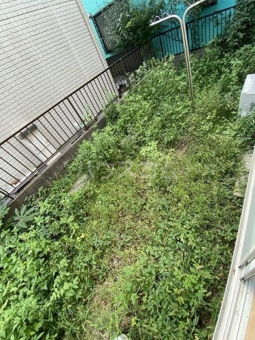 17/28 その他画像