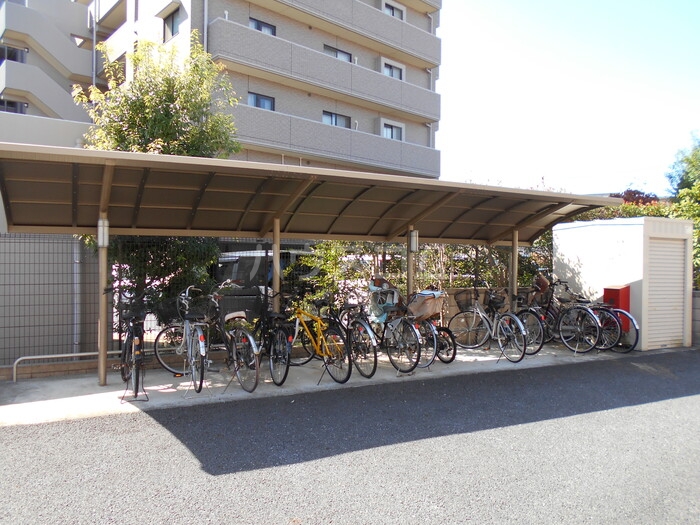 6/19 その他画像