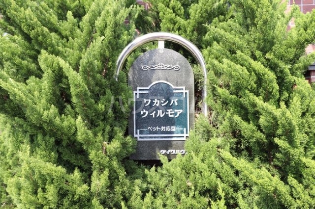 17/26 その他画像