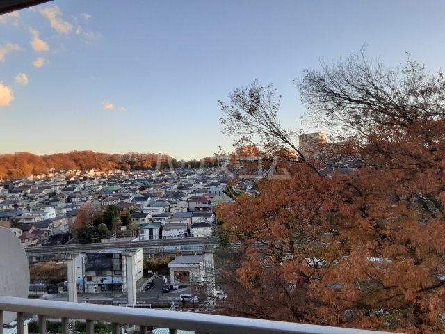 16/21 その他画像