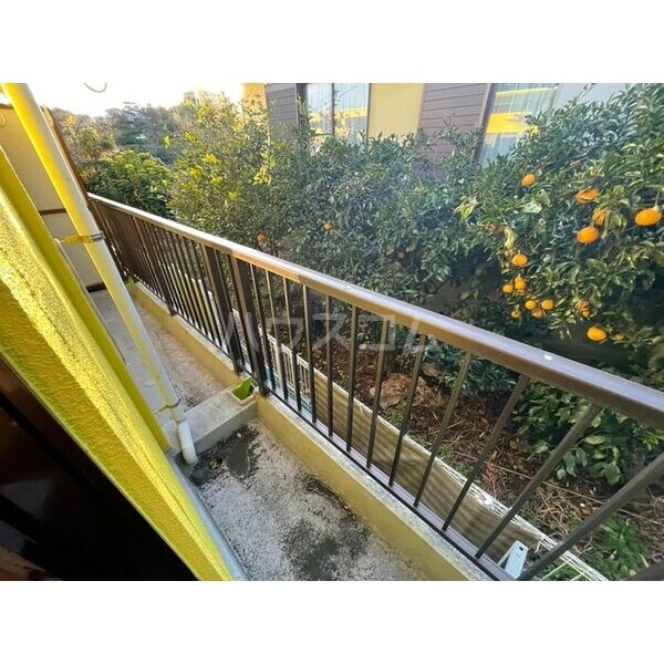 10/17 バルコニー