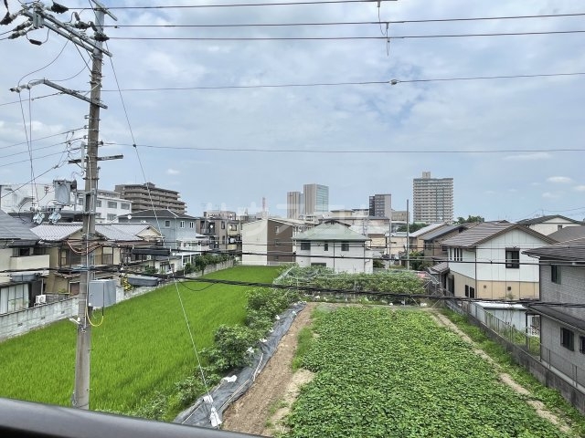 24/29 その他画像