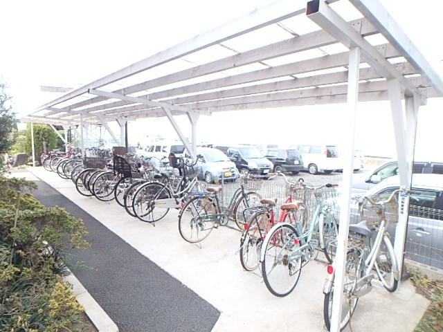 17/25 その他画像