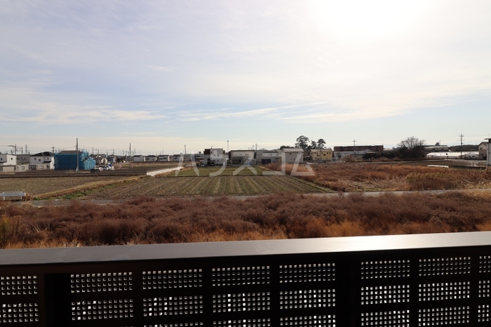 11/22 その他画像