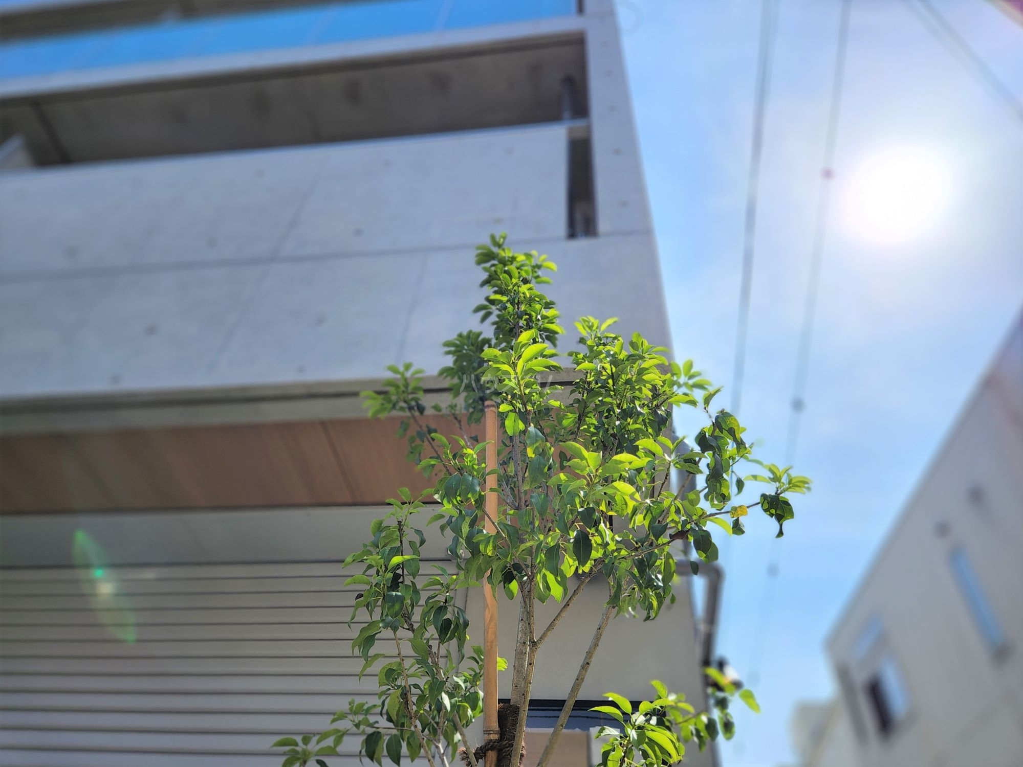 28/30 エントランス