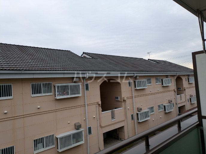 20/30 その他画像