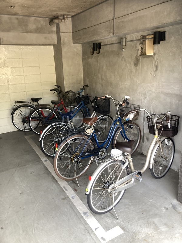 13/15 その他画像