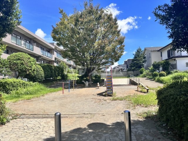 7/19 その他画像