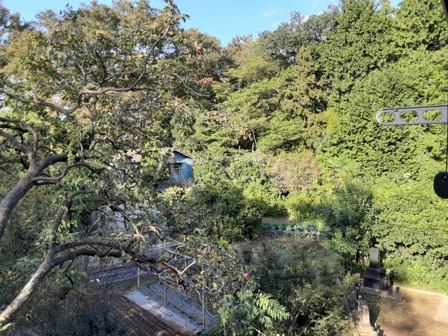 23/30 その他画像