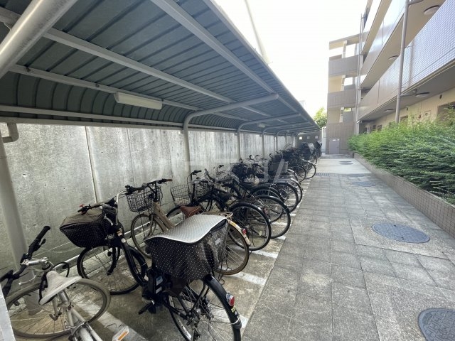 17/26 その他画像