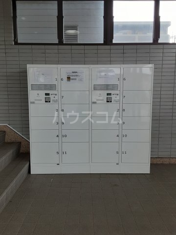 20/30 その他画像