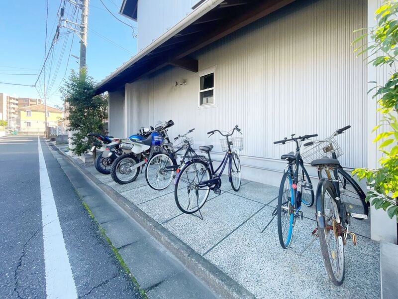 20/30 その他画像