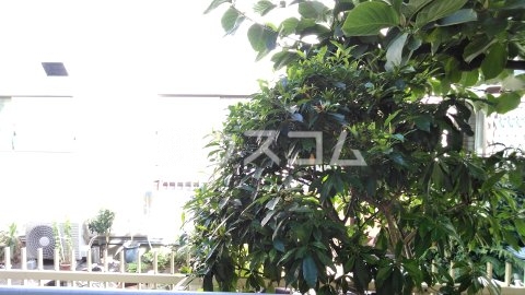 17/26 その他画像