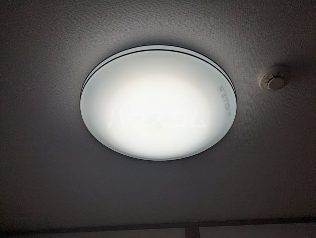 17/19 その他画像