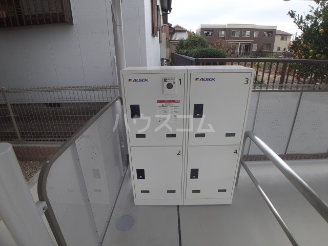 20/30 その他画像