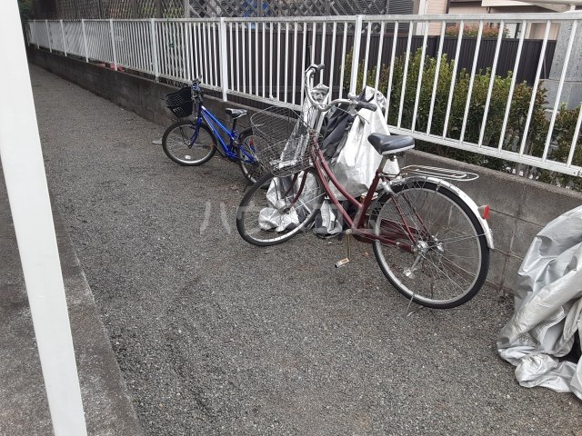 20/30 その他画像