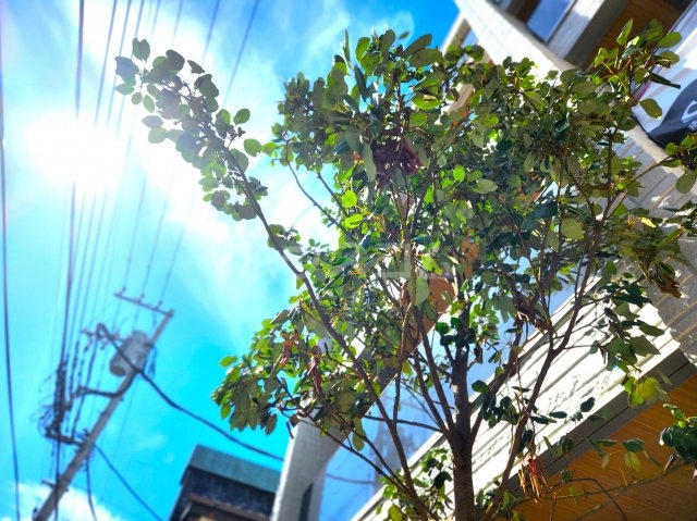 21/30 その他画像