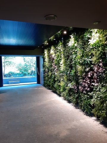 19/25 その他画像