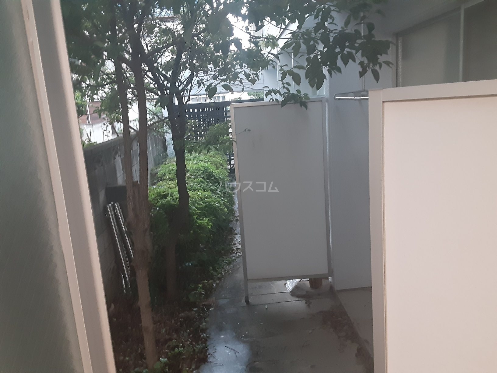 17/30 その他画像