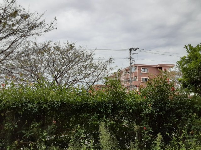 18/30 その他画像