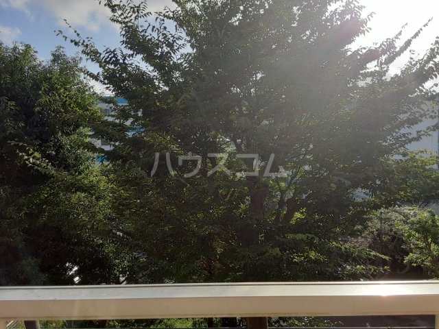 19/25 その他画像