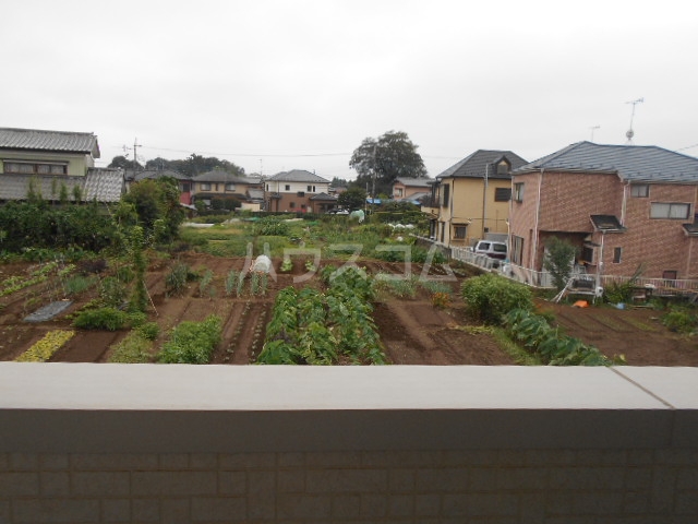 21/30 その他画像