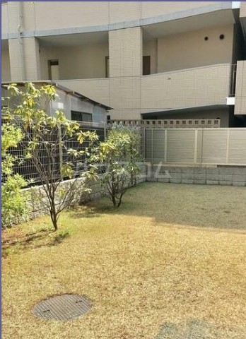 4/12 その他画像