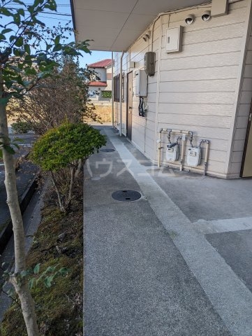 15/19 その他画像