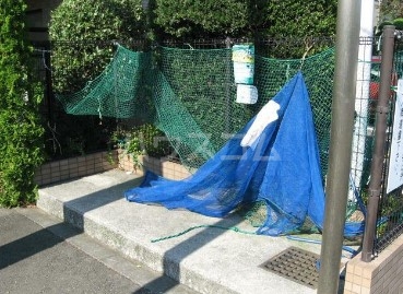 17/25 その他画像