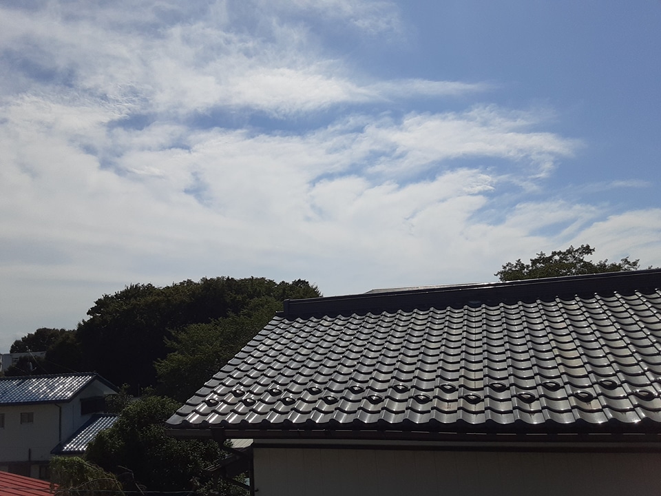 15/19 その他画像