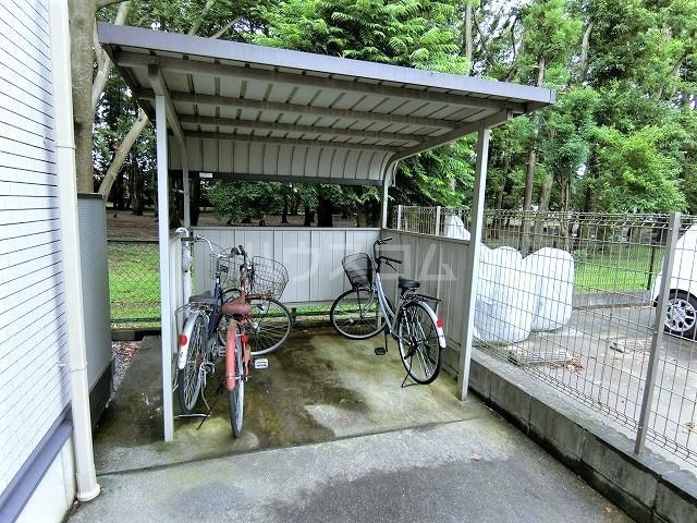 11/14 その他画像