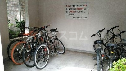 11/15 その他画像