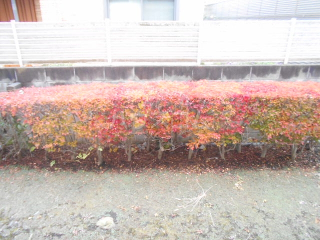 12/22 その他画像