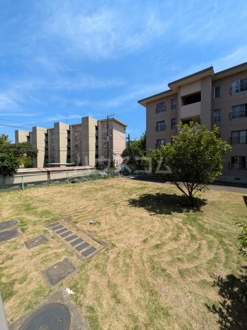 29/30 その他画像