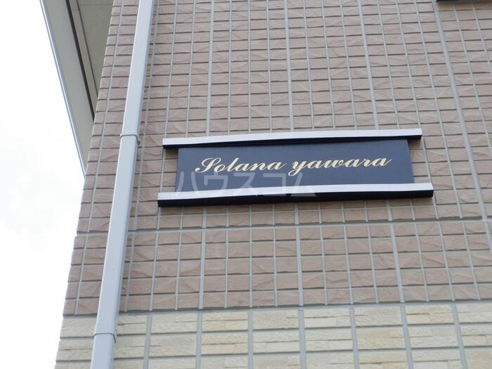 19/29 その他画像