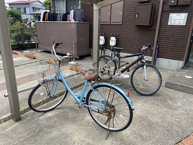 25/30 その他画像